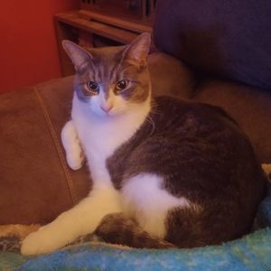 Meet your Posher, Suzanne